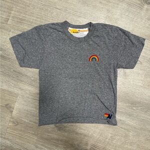Aviator Nation Rainbow Embroidery Boyfriend Tee - Gray